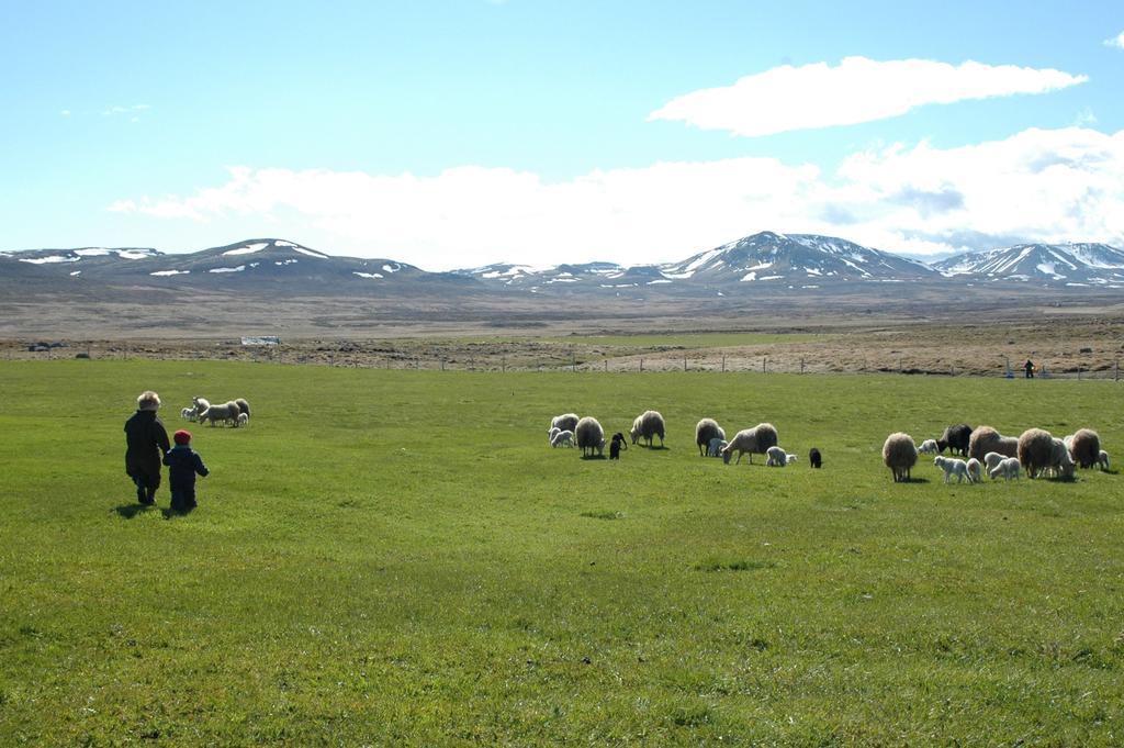 Ytra Lon Farm Retreat Villa Þórshöfn Exteriör bild