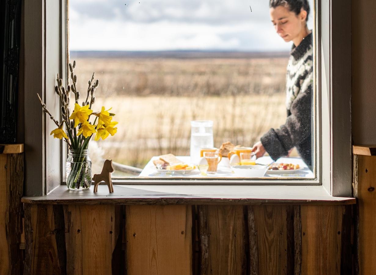 Ytra Lon Farm Retreat Villa Þórshöfn Exteriör bild